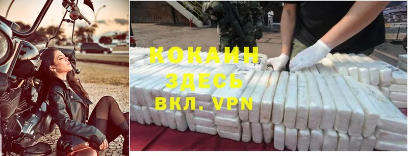 kraken как войти  хочу наркоту  Котельники  Cocaine Колумбийский 