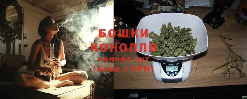 МАРИХУАНА Ganja  что такое наркотик  Котельники 